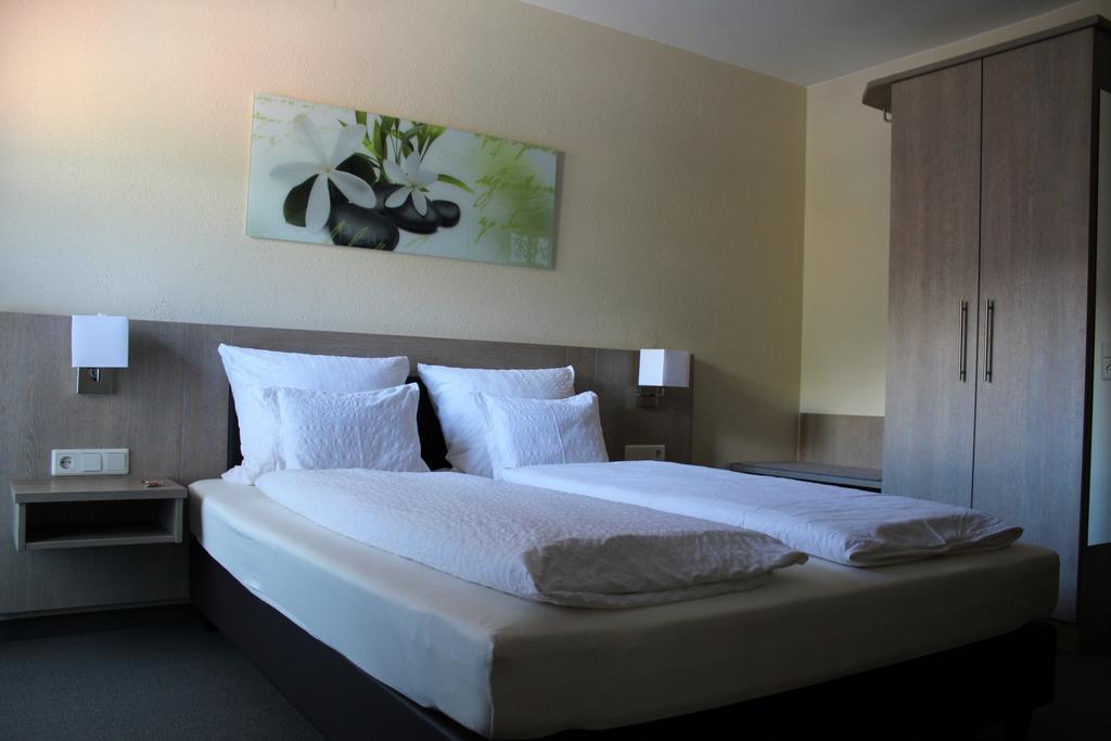 Pension Alfenz Bludenz Rum bild